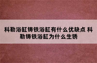 科勒浴缸铸铁浴缸有什么优缺点 科勒铸铁浴缸为什么生锈